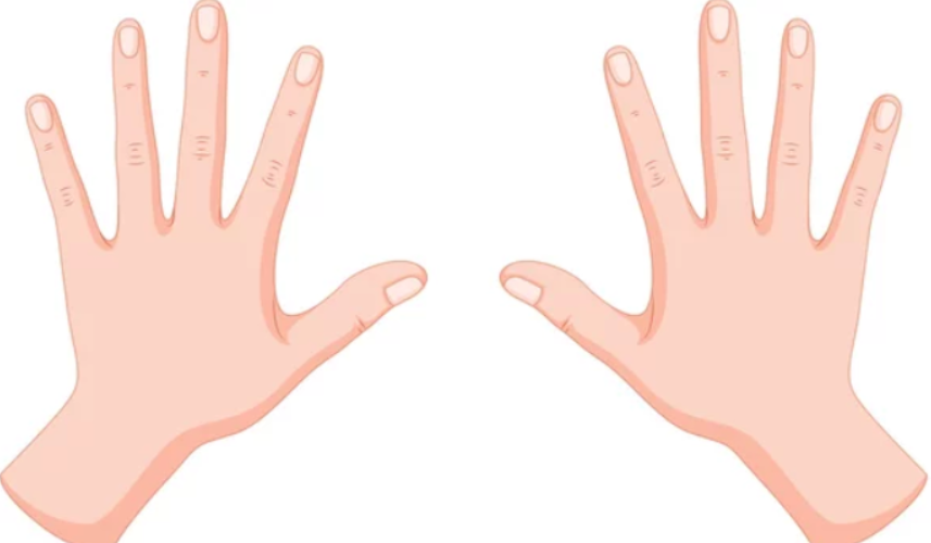 Both hands resting on the home row